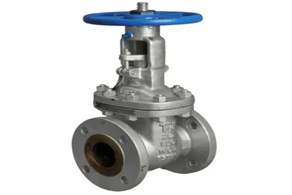 Gate valves for steam